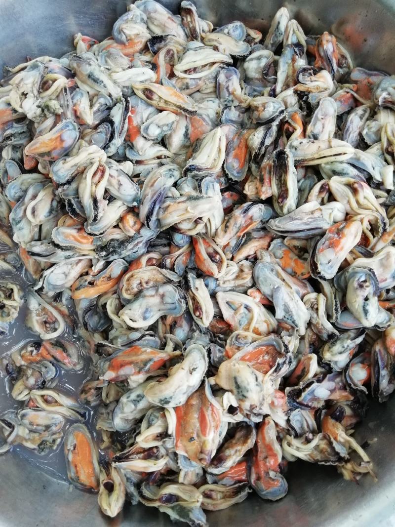 青口贝，青口贝螺肉