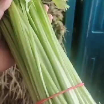 芹菜