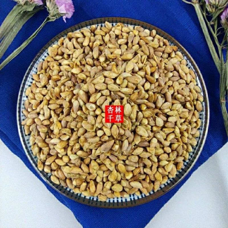 野生中药材带壳柏子仁柏籽仁散装包邮