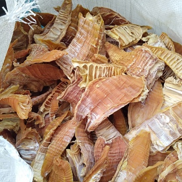 精品烤笋干3至5内，大量现货，2026新货，烘干货，