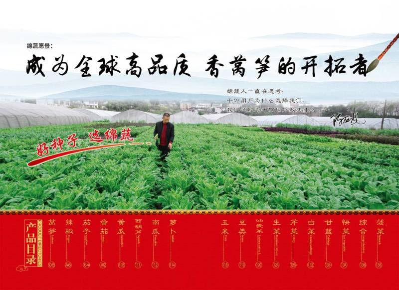 绵蔬青蒄/香莴笋种子/莴苣/蔬菜种子/绵蔬种业/青莴笋