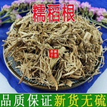 云南中药材糯稻根糯稻草根须糯谷根稻根须包邮