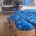 优质大棚油量型密刺黄瓜万亩蔬菜基地，油亮型密刺黄瓜