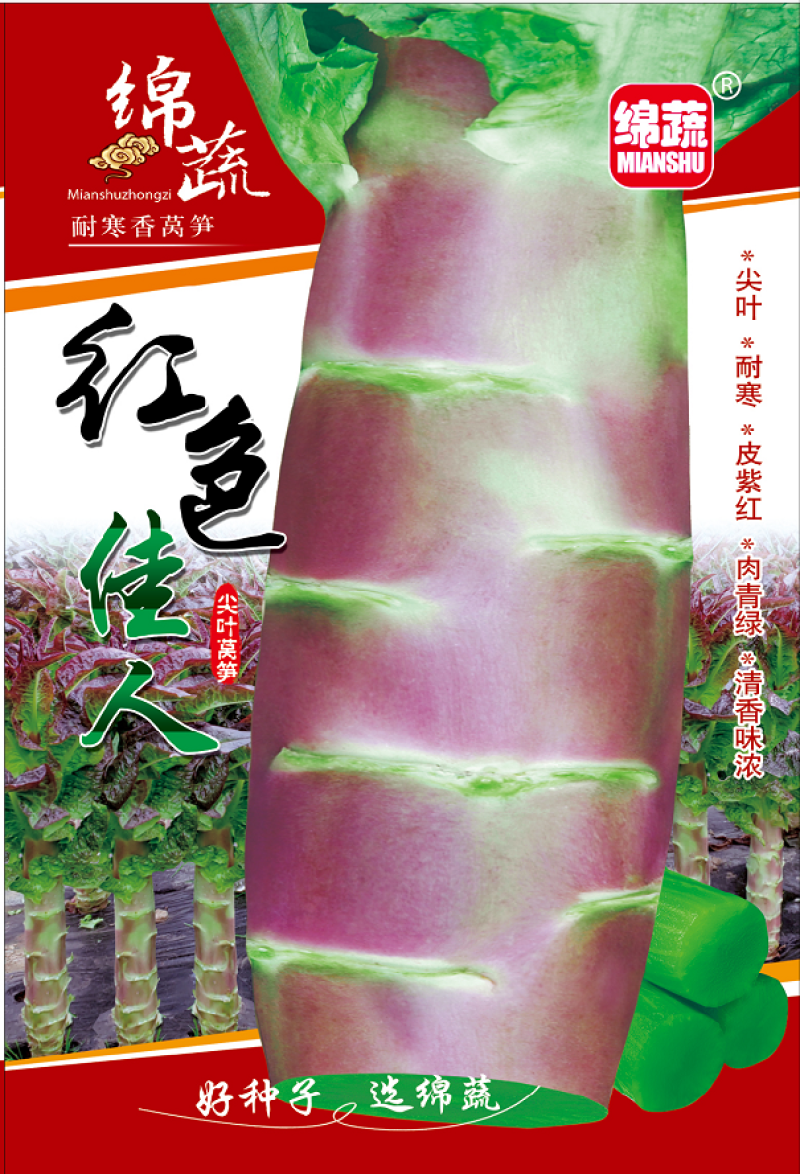 红色佳人香莴笋种子/莴苣/蔬菜种子/绵蔬种业/红尖叶莴笋