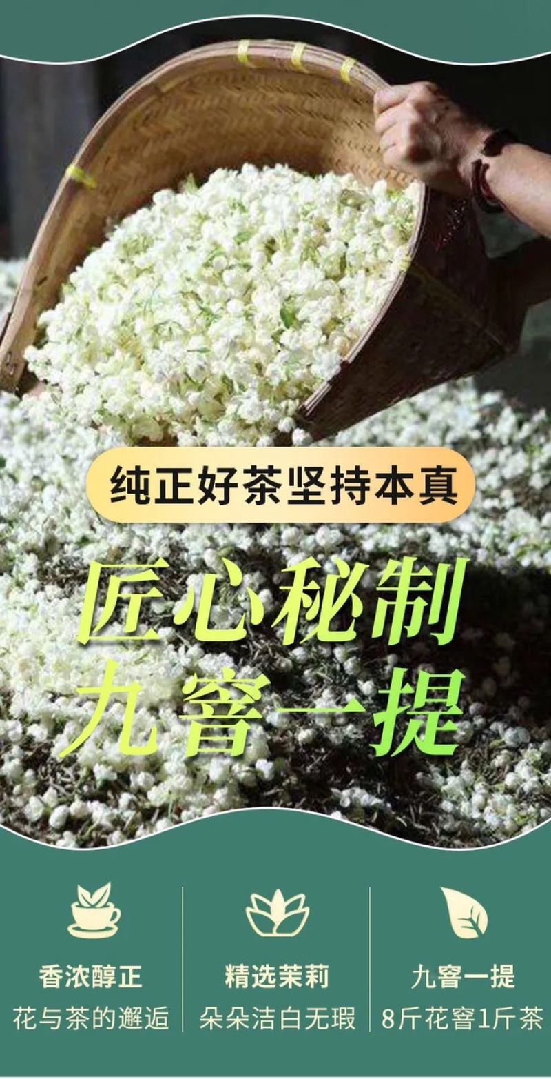 茉莉女儿环特级花茶鲜花窨制高端花茶福州茉莉花茶