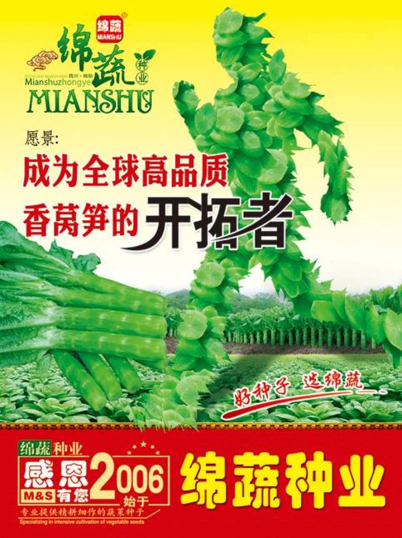 绵蔬/蔬菜种子/高品质香莴笋种子/开门红/10克/袋