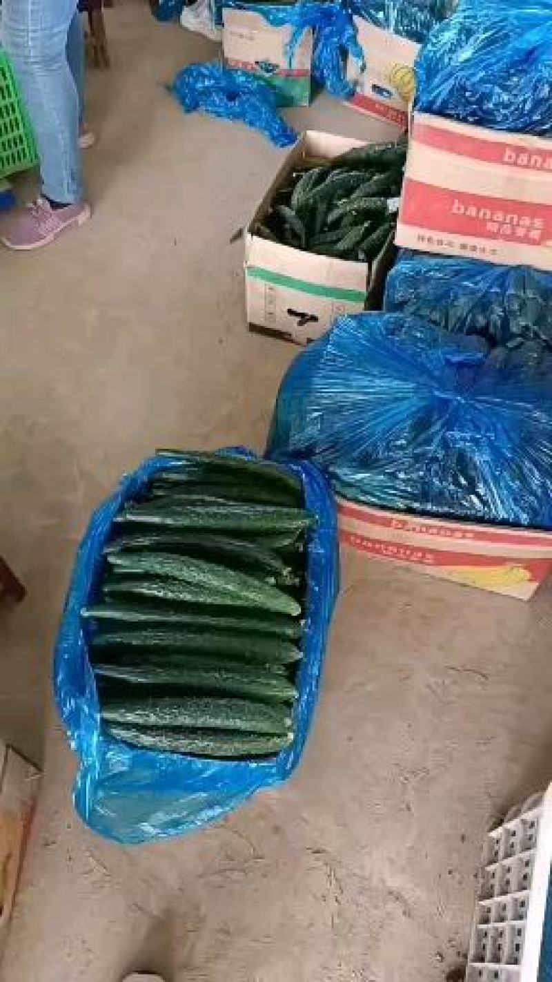 密刺黄瓜万亩蔬菜基地黄瓜，，货源充足，欢迎新老顾客采购