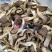蘑菇烘干机香菇烘干机山东平菇烘干机食用菌烘干机设备