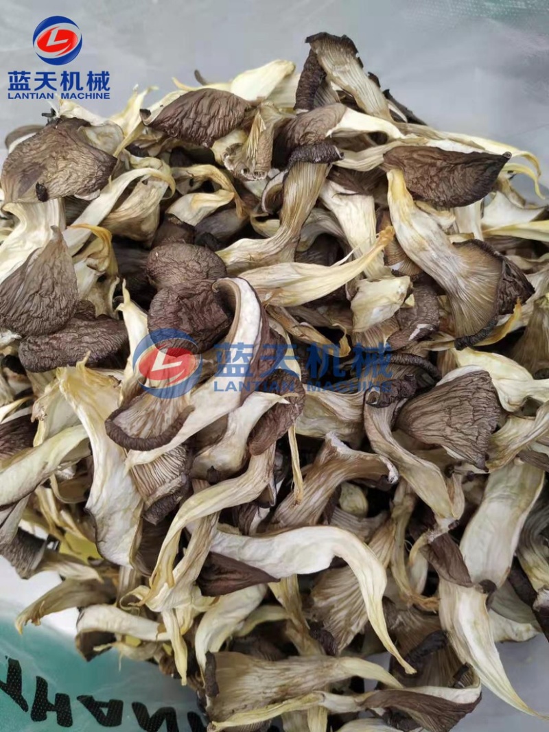 蘑菇烘干机香菇烘干机山东平菇烘干机食用菌烘干机设备