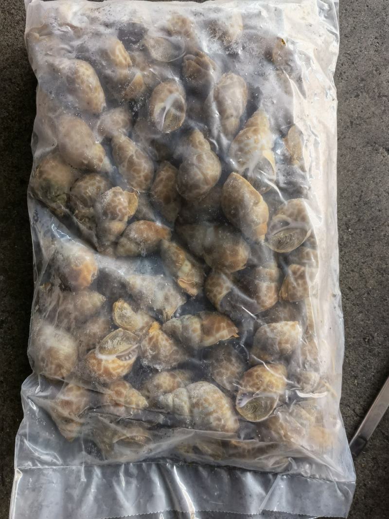 花螺批发冻凤螺批发花螺批发螺东风螺批发