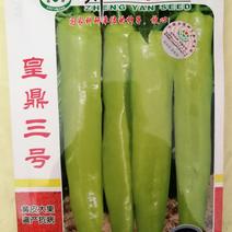 【郑研】皇鼎3号辣椒种子，果型大，果皮黄亮！厂家直销！