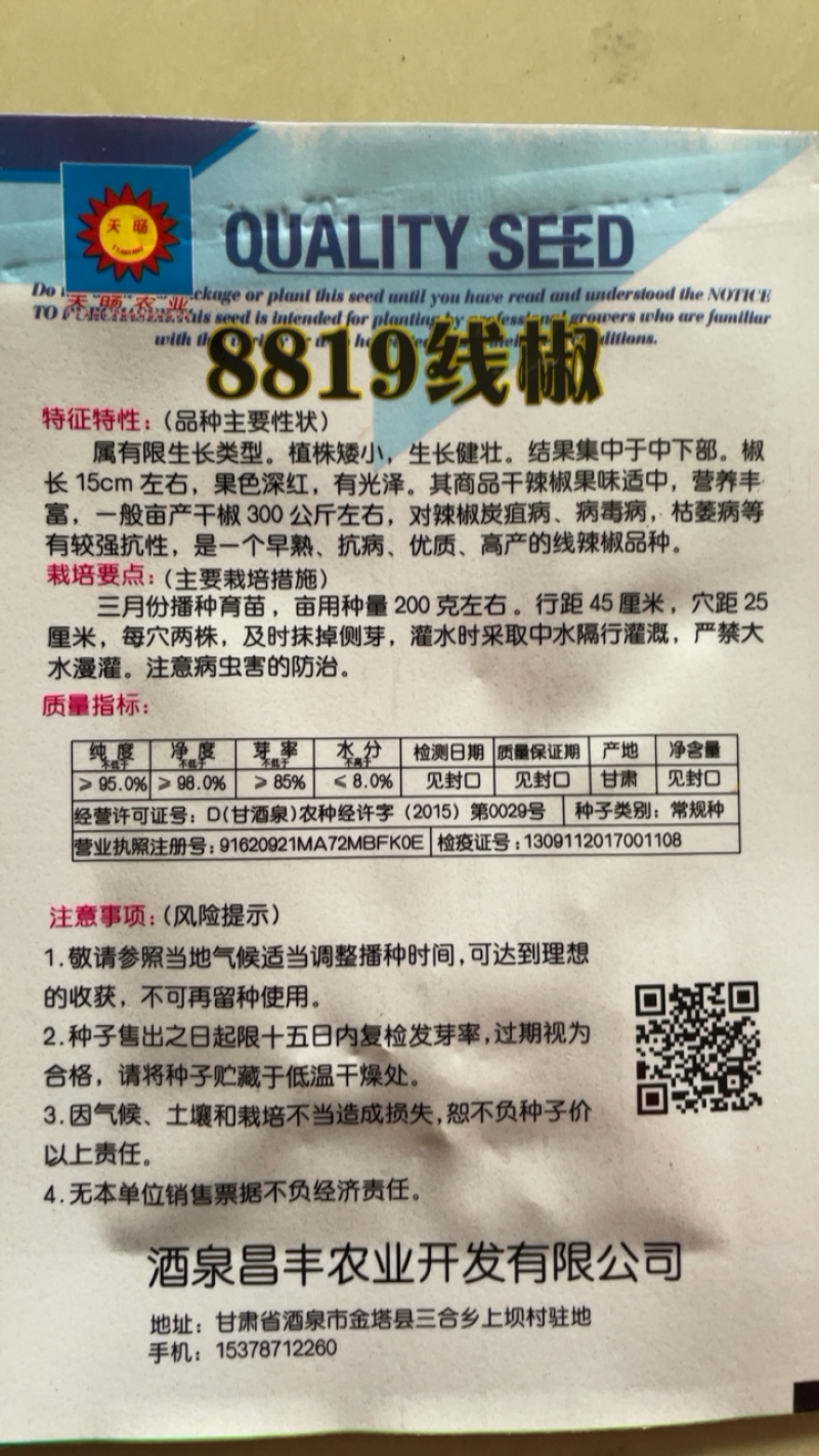 线椒种子8819线椒四季播种