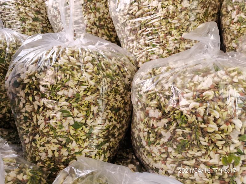 4月16号槐花上市了一天两千斤货量速来抢购吧