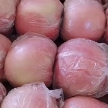 萍果质量好嘎嘎的翠甜特价处理