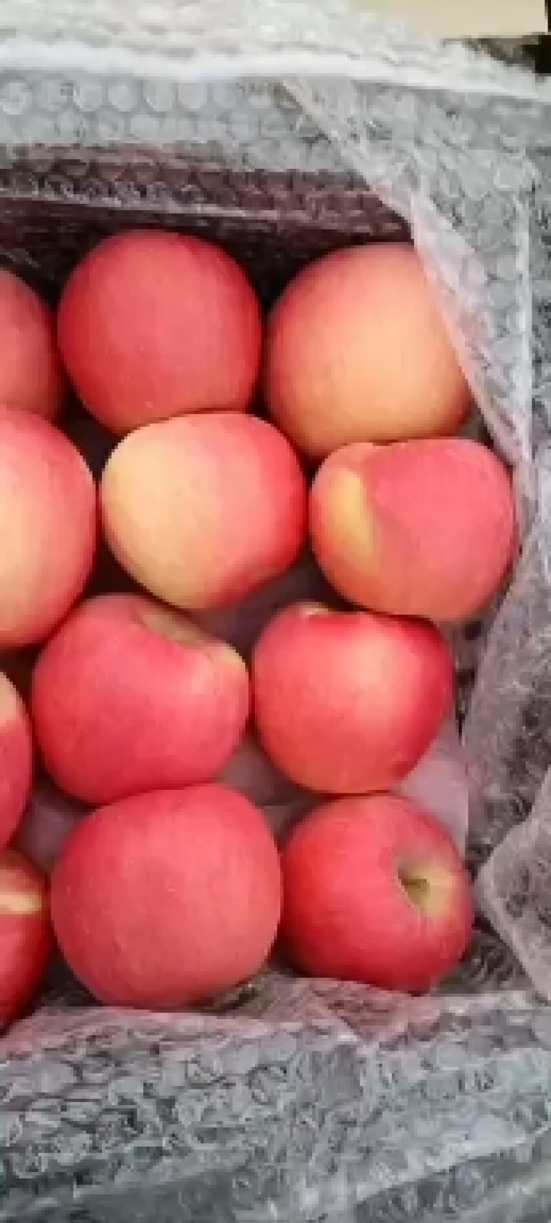 萍果质量好嘎嘎的翠甜特价处理