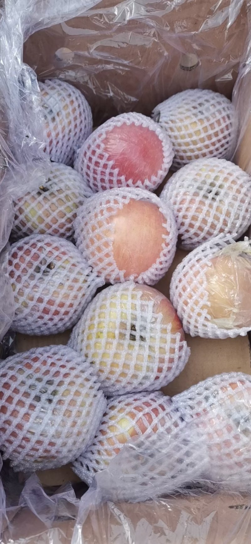 萍果质量好嘎嘎的翠甜特价处理