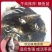 桂鱼苗(鳜鱼苗，桂花鱼苗)洪湖本地养殖，适应强生长