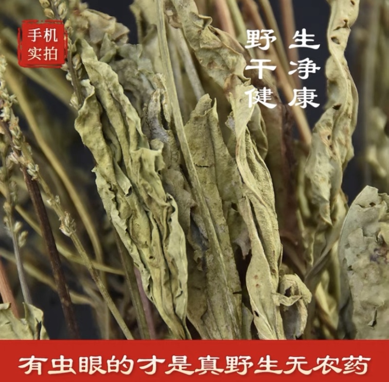 车前草中药材新贷无硫正品车前草泡茶500g