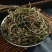 车前草中药材新贷无硫正品车前草泡茶500g