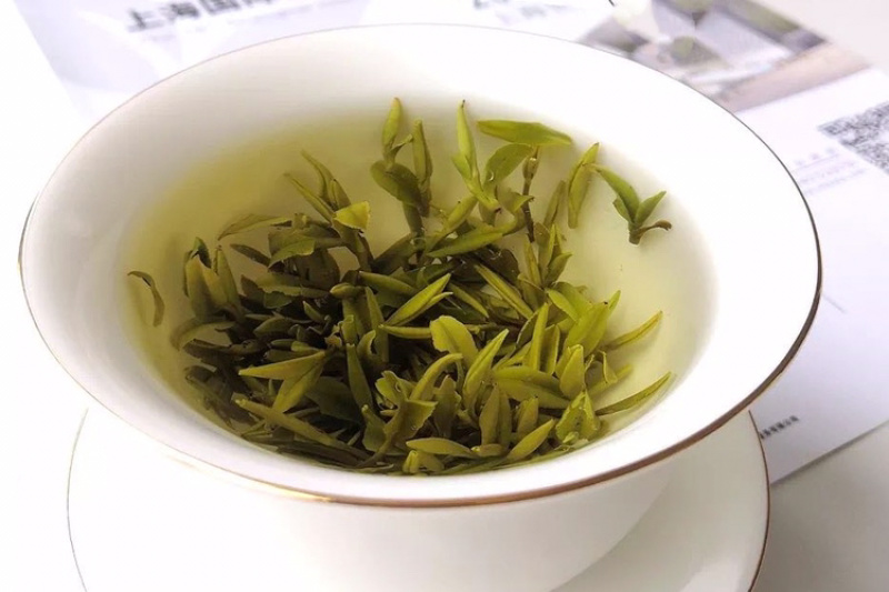 茶叶2022明前黄芽800一斤中高端绿茶【回甘好】