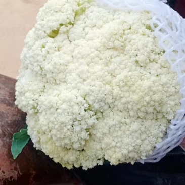 河北精品菜花，有机花，产地直供，一手货源，直供商超