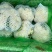 河北精品菜花，有机花，产地直供，一手货源，直供商超