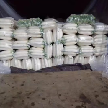 白萝卜工厂货大三排，精品4排产地直发。