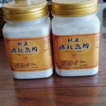 鹿角帽粉纯正鹿托盘粉梅花鹿托盘粉吉林鹿角帽粉