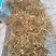 广东本地的白花牛奶根，有香味