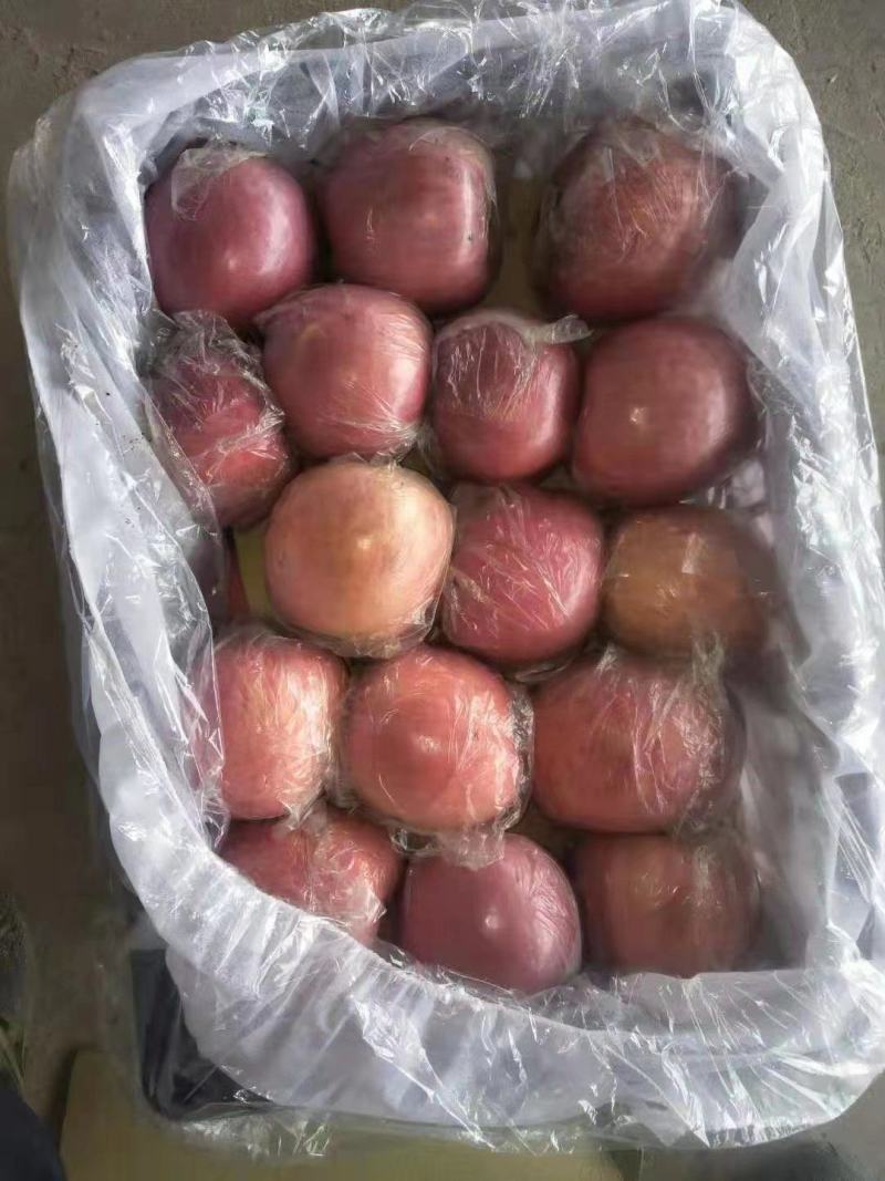 纸袋纸加膜膜袋苹果