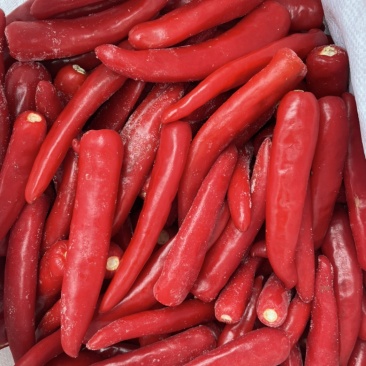 出售金乡本地冷冻金塔精品高标基地产品一手货源