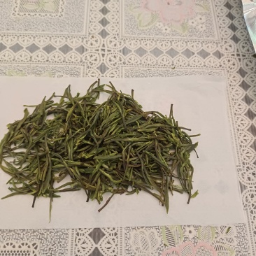 安吉白茶