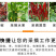 采摘钳批发采摘神器摘花椒摘草莓摘樱桃摘枇杷摘蔬菜刀