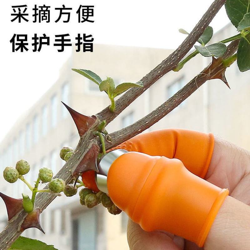 采摘钳批发采摘神器摘花椒摘草莓摘樱桃摘枇杷摘蔬菜刀