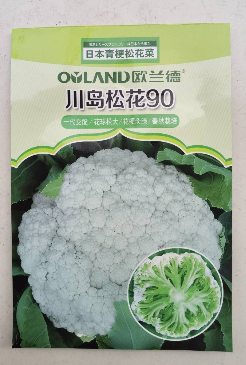 川岛松花90松花菜种子青梗小米粒有机菜花，洁白松大
