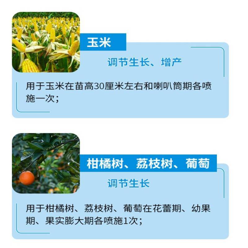 红太阳芸苔素内酯蔬菜大豆番茄小麦玉米葡萄水稻植物生长剂
