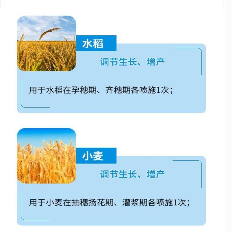 红太阳芸苔素内酯蔬菜大豆番茄小麦玉米葡萄水稻植物生长剂