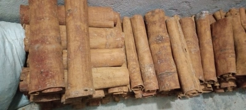 刮皮黄通。中通，大通，特大通。