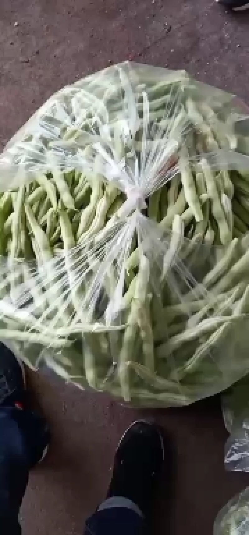 精品芸豆大量供应超市。赶大集小贩。批发市场