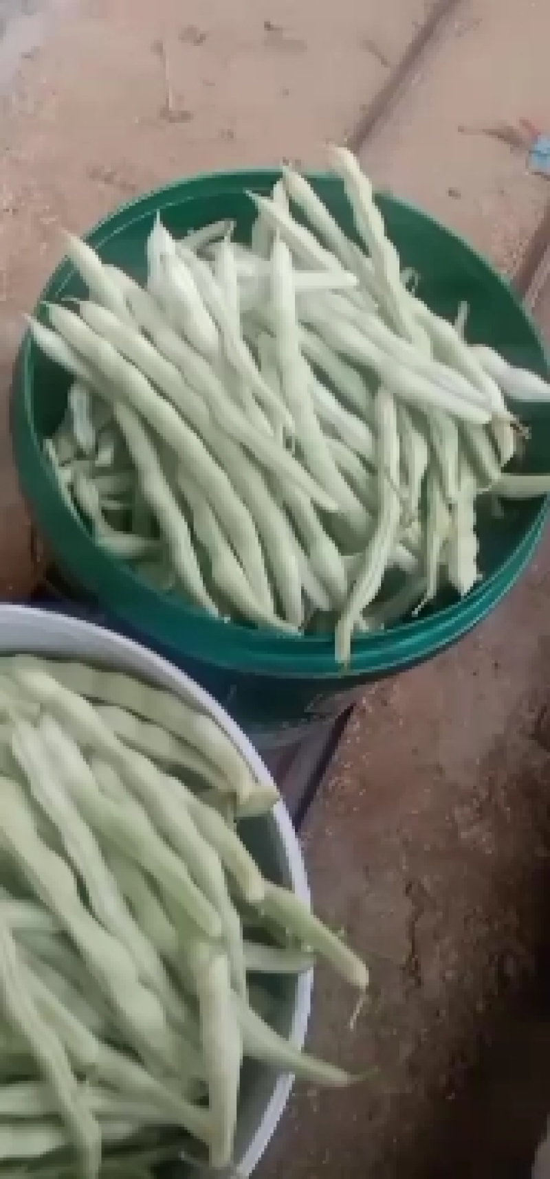 精品芸豆大量供应超市。赶大集小贩。批发市场