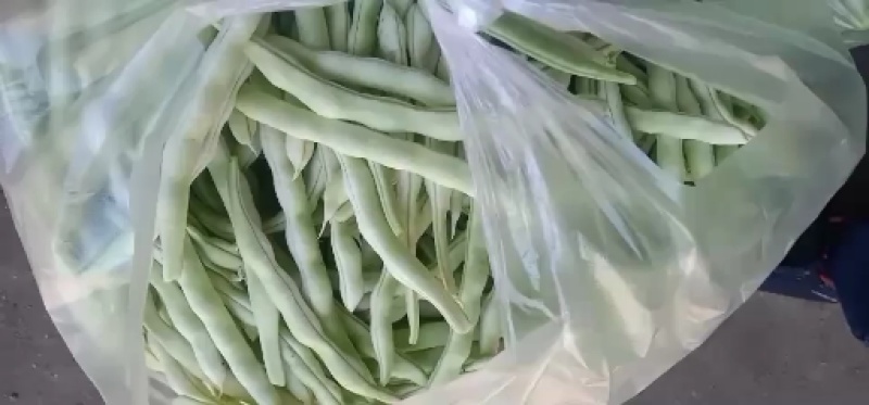 精品芸豆大量供应超市。赶大集小贩。批发市场