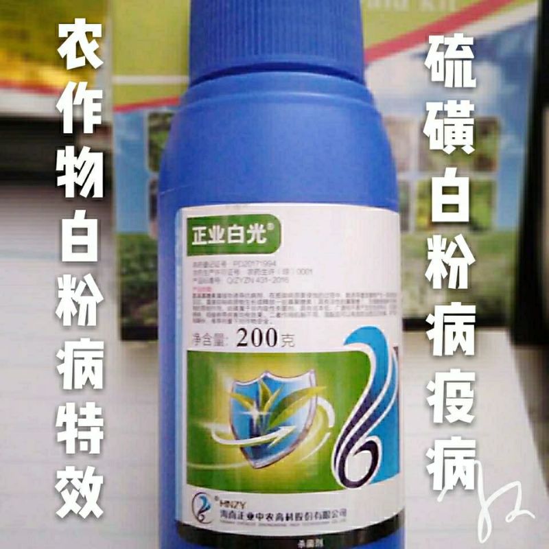 正业农药杀菌剂白粉病硫磺白光寡糖素黄瓜甜瓜叶斑病园艺