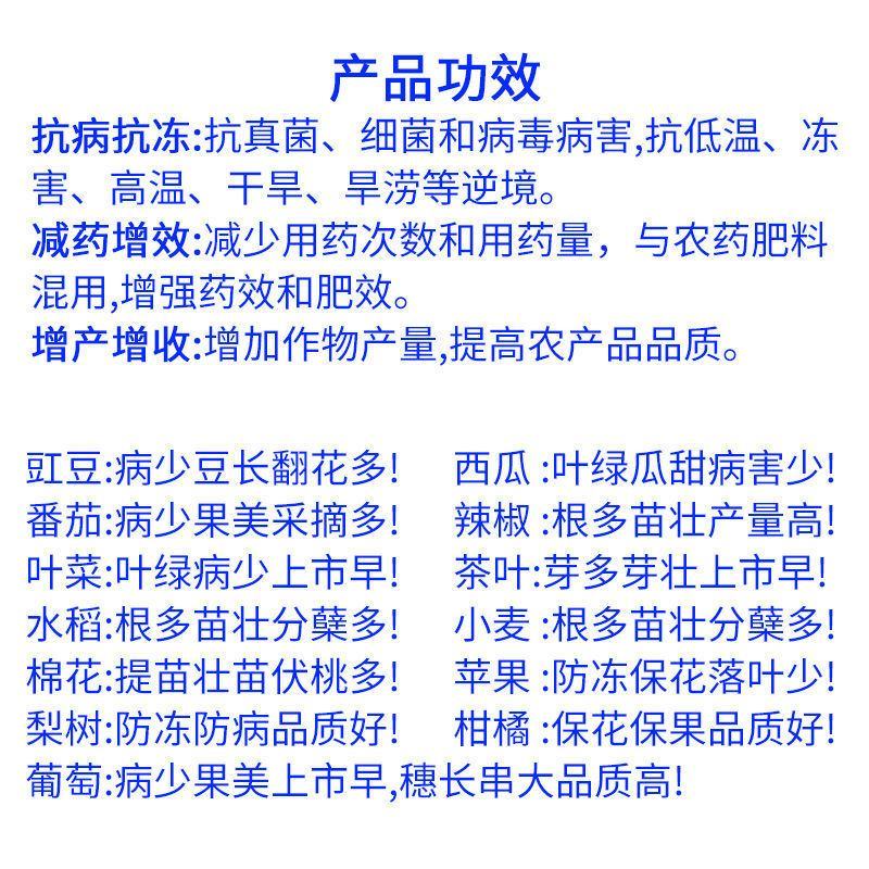 正业海岛素5%氨基寡糖素烟草梨小麦玉米病毒病黑星病农药