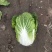 白菜大白菜