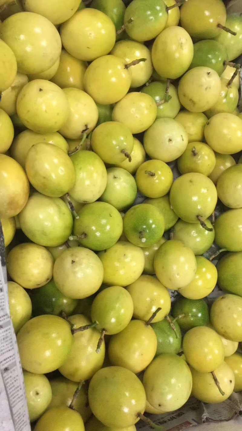 钦蜜9号黄金百香果芭乐味蜂蜜百香果新鲜热带水果产地直销