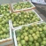 钦蜜9号黄金百香果芭乐味蜂蜜百香果新鲜热带水果产地直销