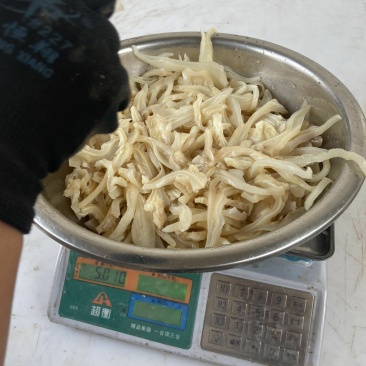 熟牛耳丝质量好
