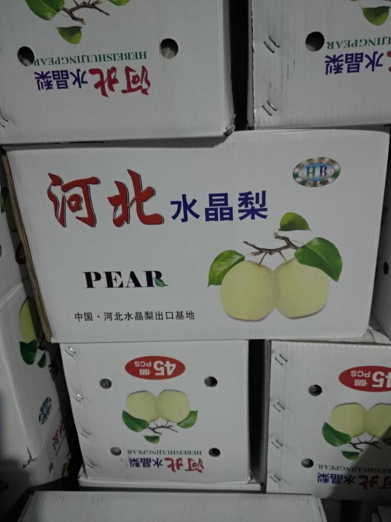 雪梨赵州雪梨口感特甜，有浓郁冰糖味儿。个大，果面干净耐运