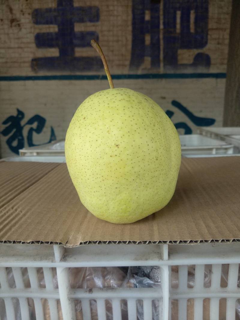 雪梨赵州雪梨口感特甜，有浓郁冰糖味儿。个大，果面干净耐运