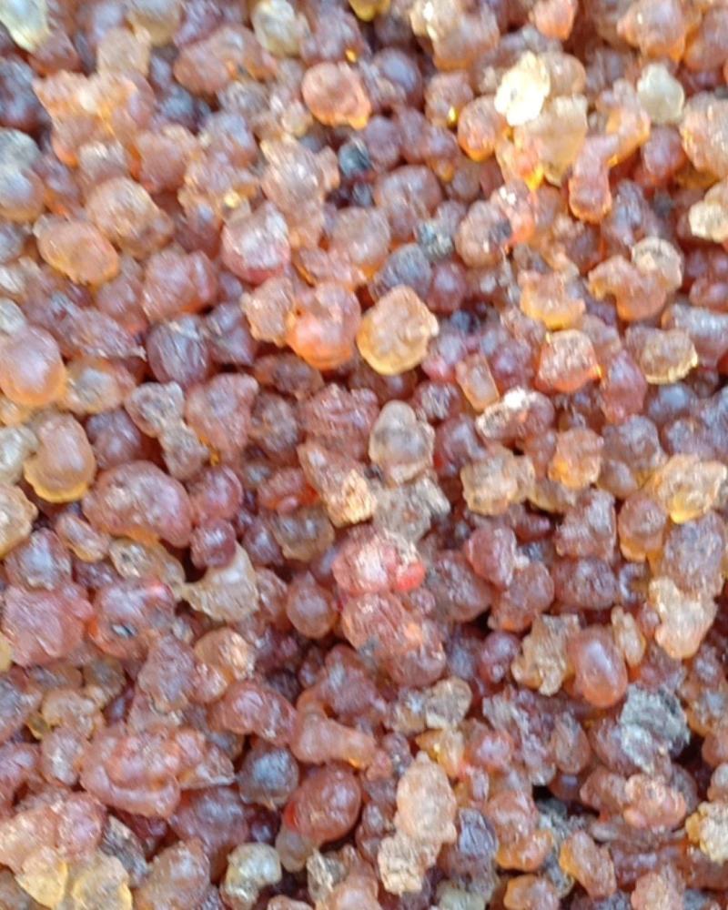 沂蒙山区里的野生优质桃胶，零售批发，产地直发，一级精品